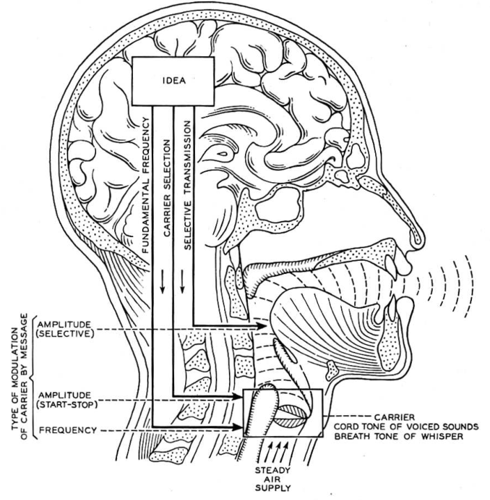 Fig. 1. The vocal system as a carrier circuit.